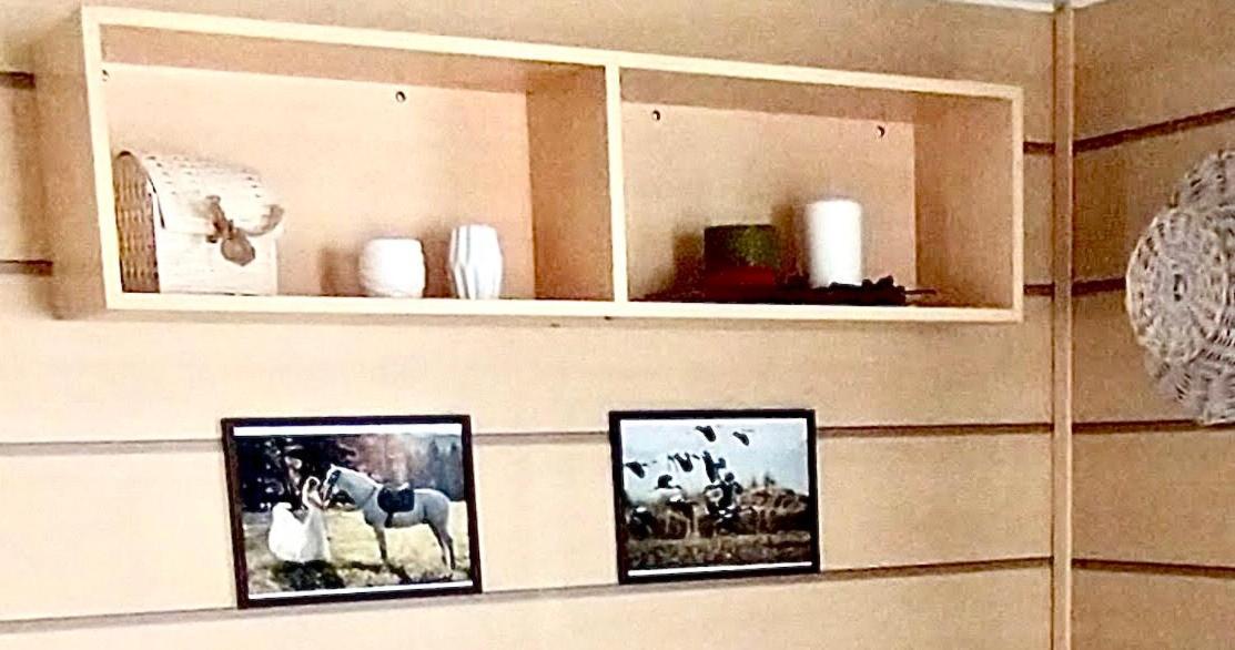 Mobil Home 5Pers Proche Europa Park Dans Camping 3Etoiles Boofzheim Zewnętrze zdjęcie